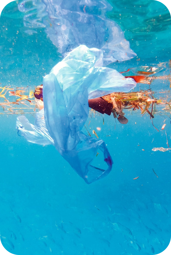 Plastic waste in the sea